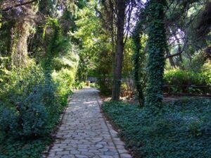 The-Botanical-Garden-of-Iulia-and-Alexander-Diomedes