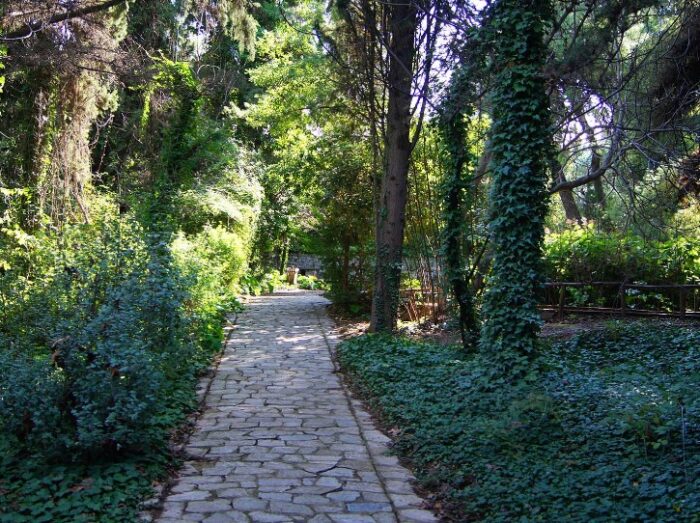 The Botanical Garden of Iulia and Alexander Diomedes
